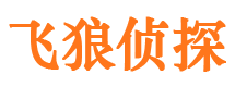 临泉市侦探调查公司